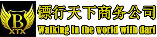 四川镖行天下商务咨询有限公司